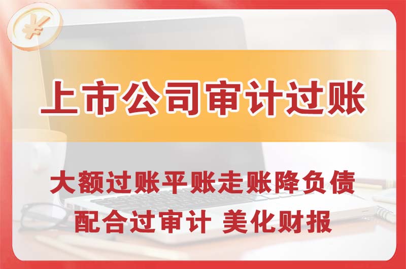 仪征上市公司审计过账